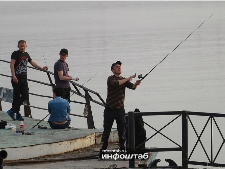   Редакция «МК в Астрахани»