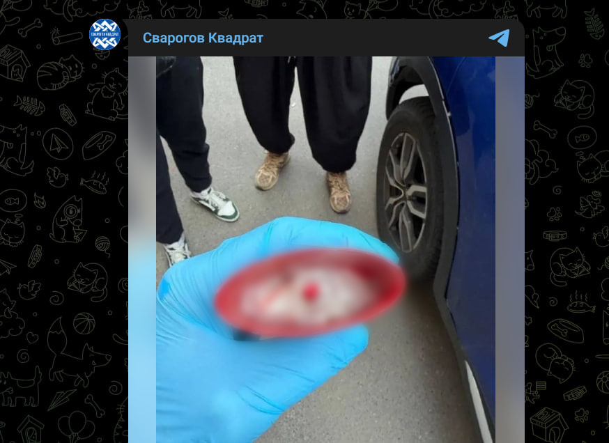Фото: Telegram-канал "Сварогов Квадрат"