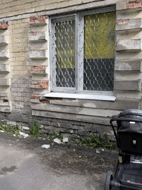     Фото: представлено читателем «МК в Ленобласти».