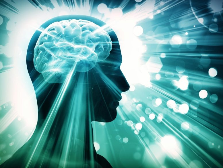 https://scitechdaily.com/images/Brain-Boost-Mental-Focus-Clarity-Concept-777x583.jpg  https://scitechdaily.com/7-ways-to-boost-your-mental-focus-clarity-naturally/