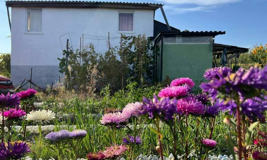 Сколько стоит привести дачу в порядок в Курской области