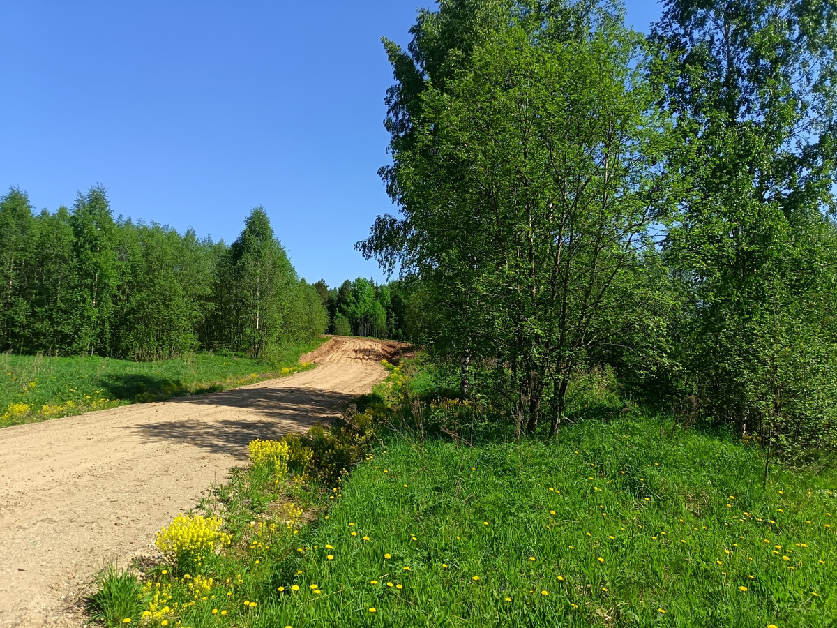 Дорога к усадьбе Знаменское