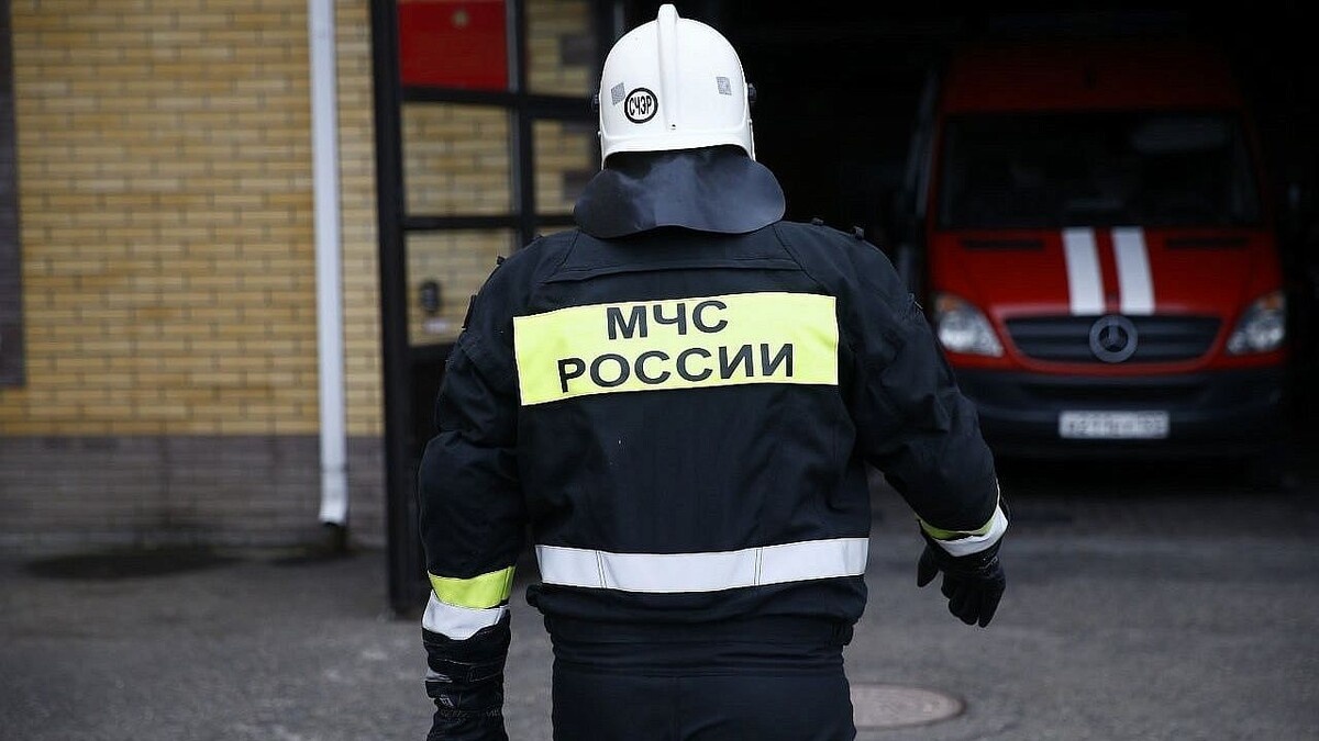    Фото: телеканал «Краснодар»