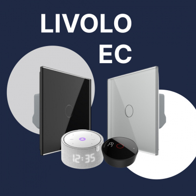 Как подключить сенсорные выключатели Livolo к Алисе? Пошаговая инструкция с голосовым управлением