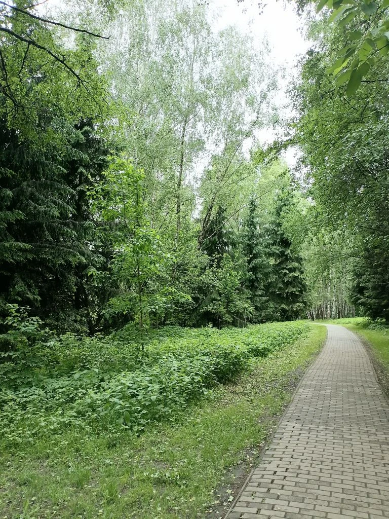 Тропаревский парк Фото автора