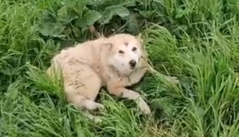 Увидела утром 