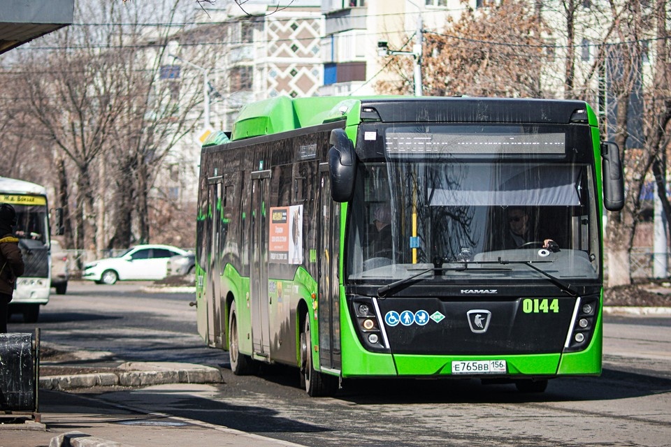   Яна Вежлева