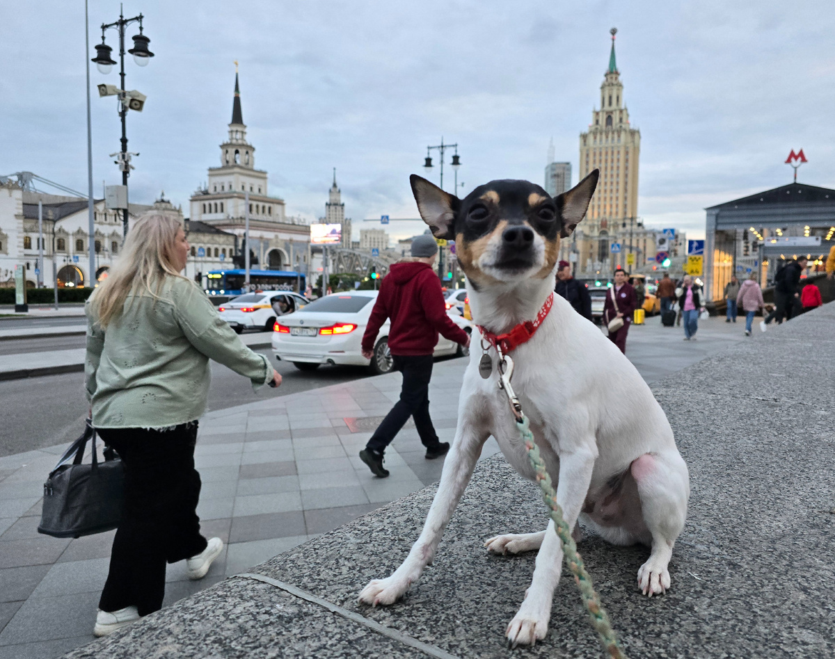 Джонни в Москве, площадь трёх вокзалов