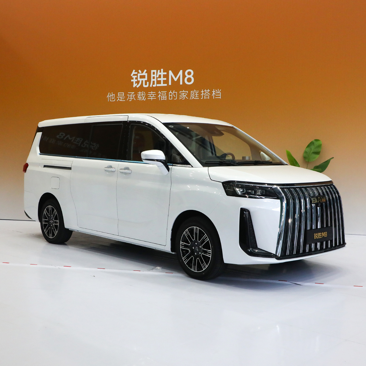 BAW MPV M8