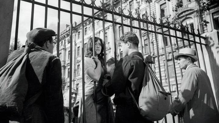  Фото: Летят журавли, 1957 год