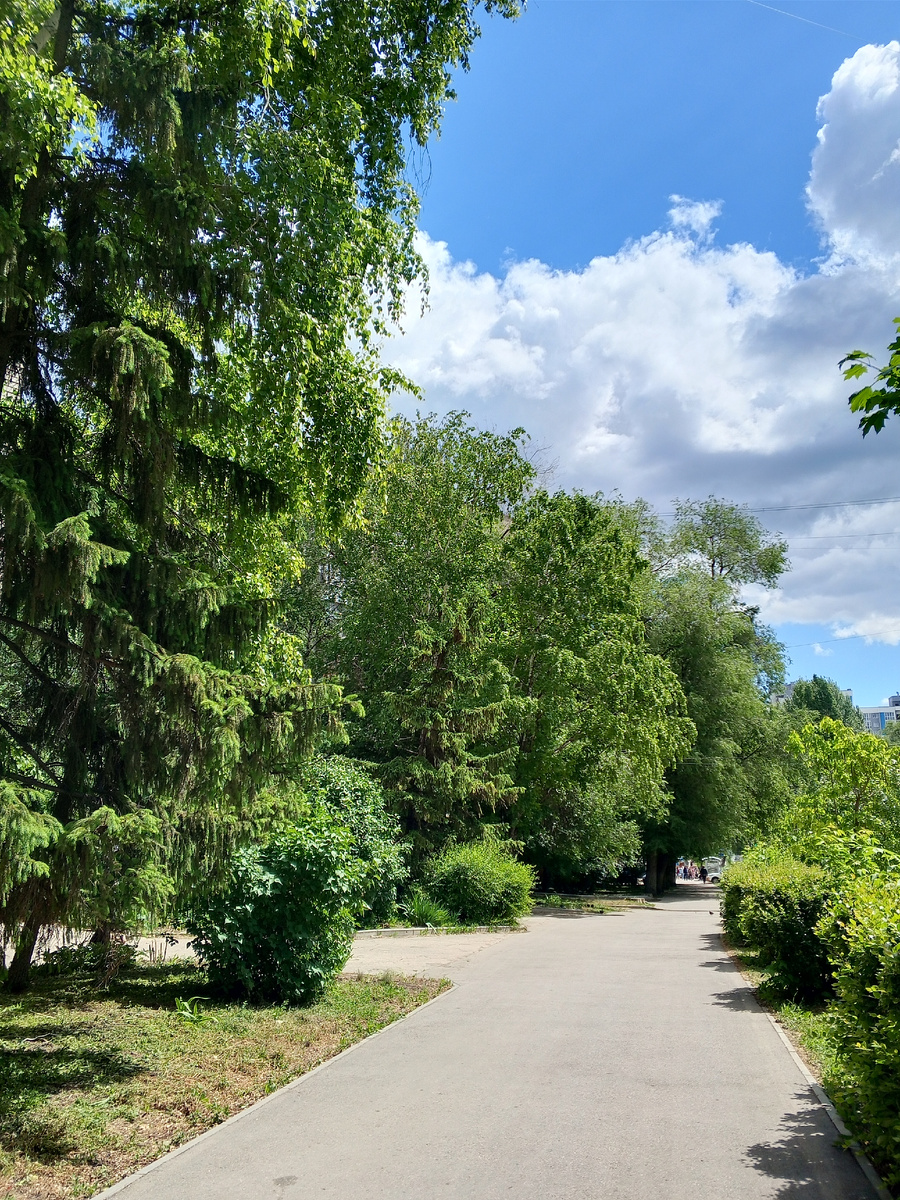 Фото автора канала