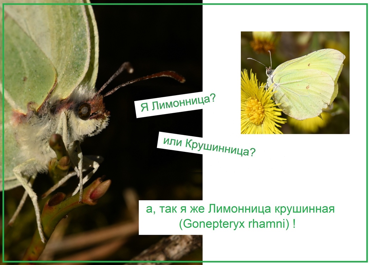 - А ещё фотки будут? - Конечно!