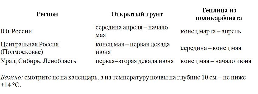 Таблица и фото Натальи Мироновой