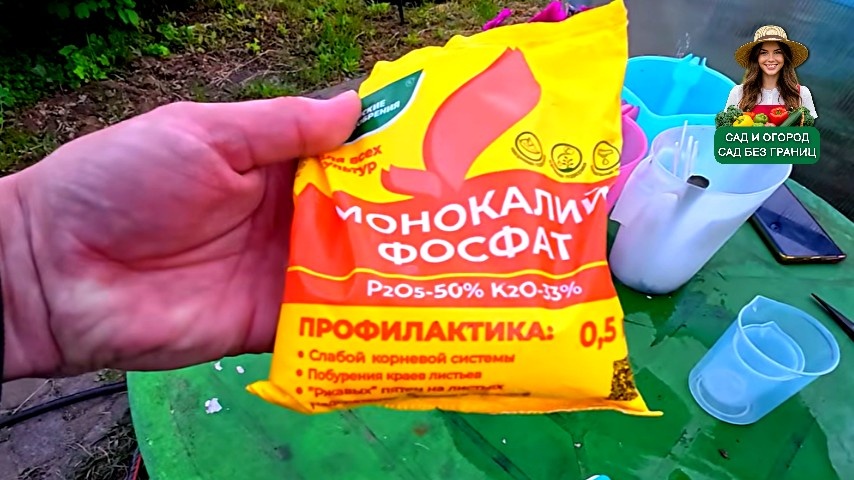 рецепт подкормки помидоров