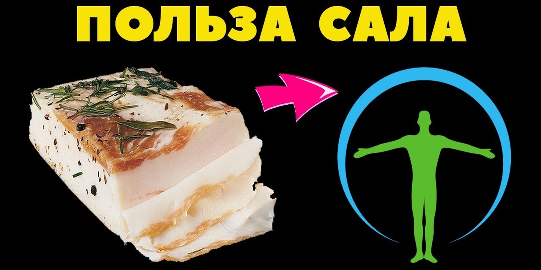 Вся правда о сале: что будет, если есть его каждый день