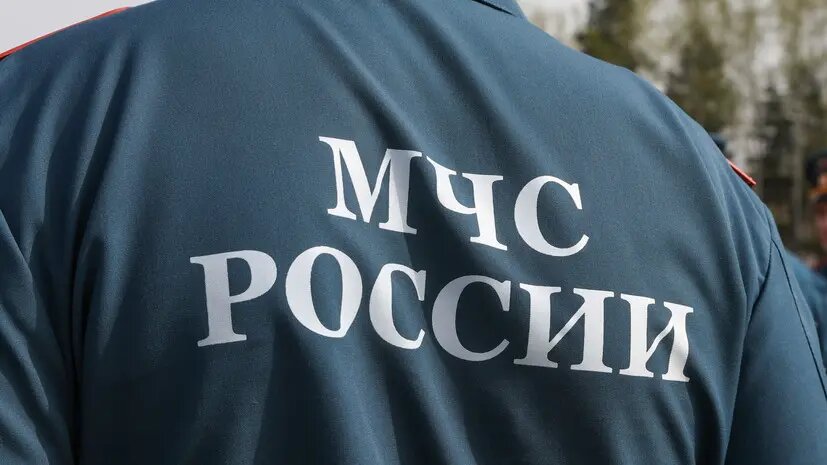    Источник: russian.rt.com Полина Потапова