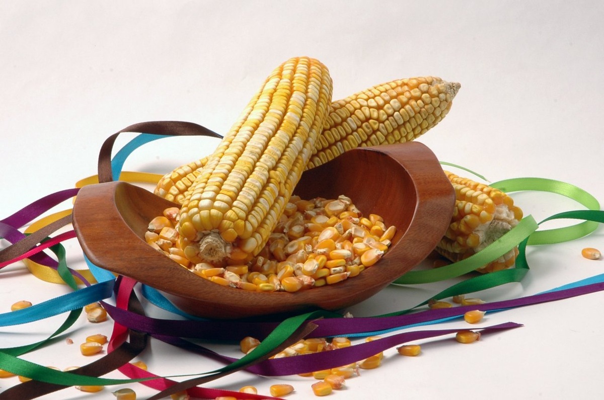    Кукуруза   
(сс) International Maize and Wheat Improvement Center