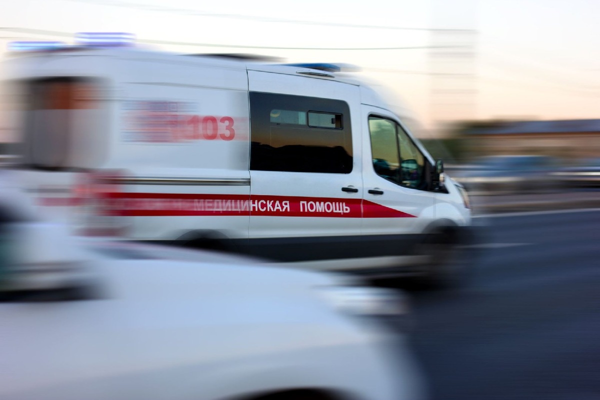    Фото: iStock/maxim4e4ek