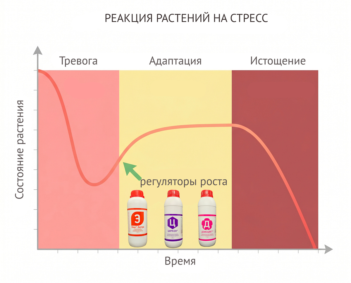 Реакция растений на стресс [2]