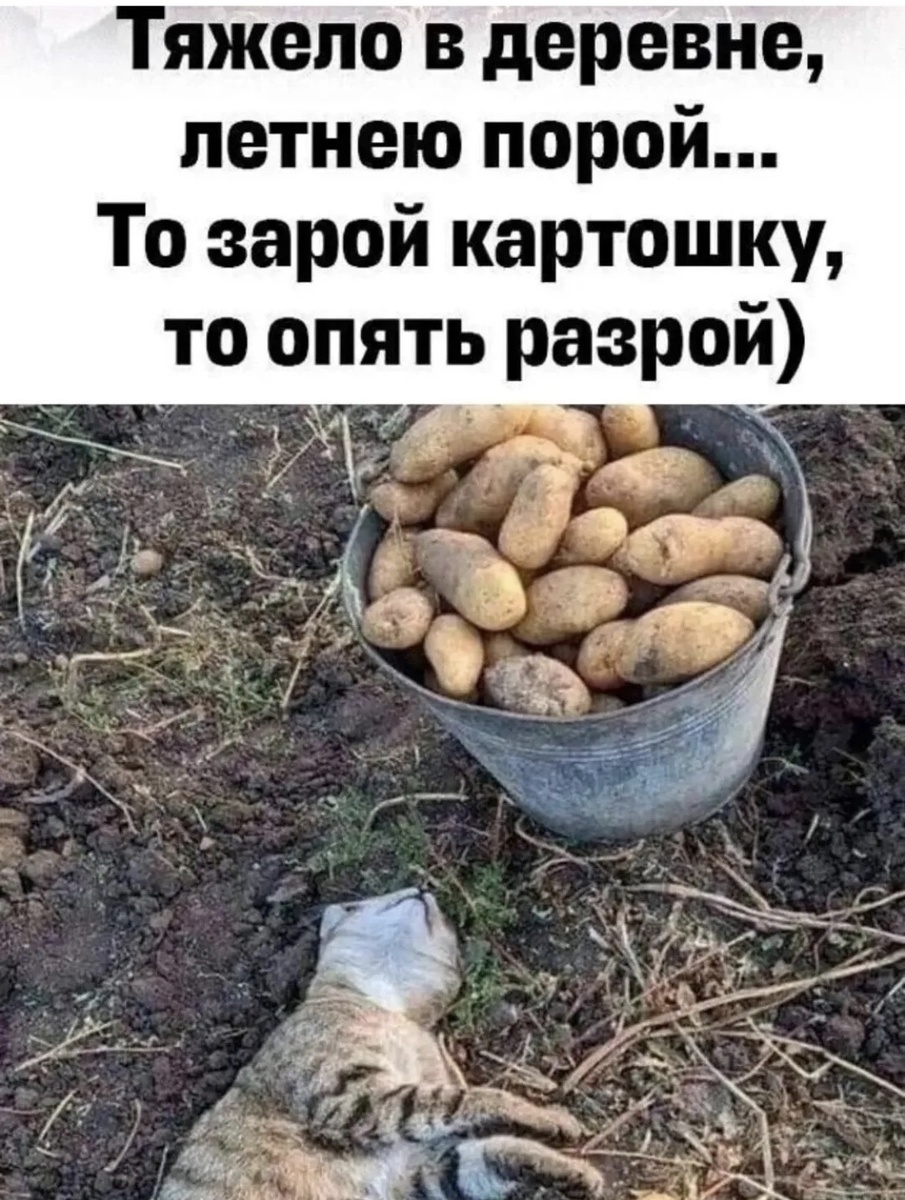 -6