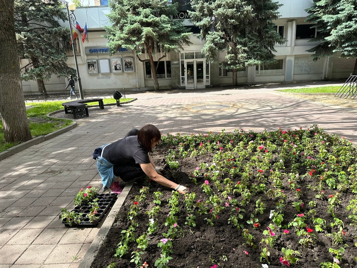 Улица Пушкинская, Ростов-на-Дону. Фото автора