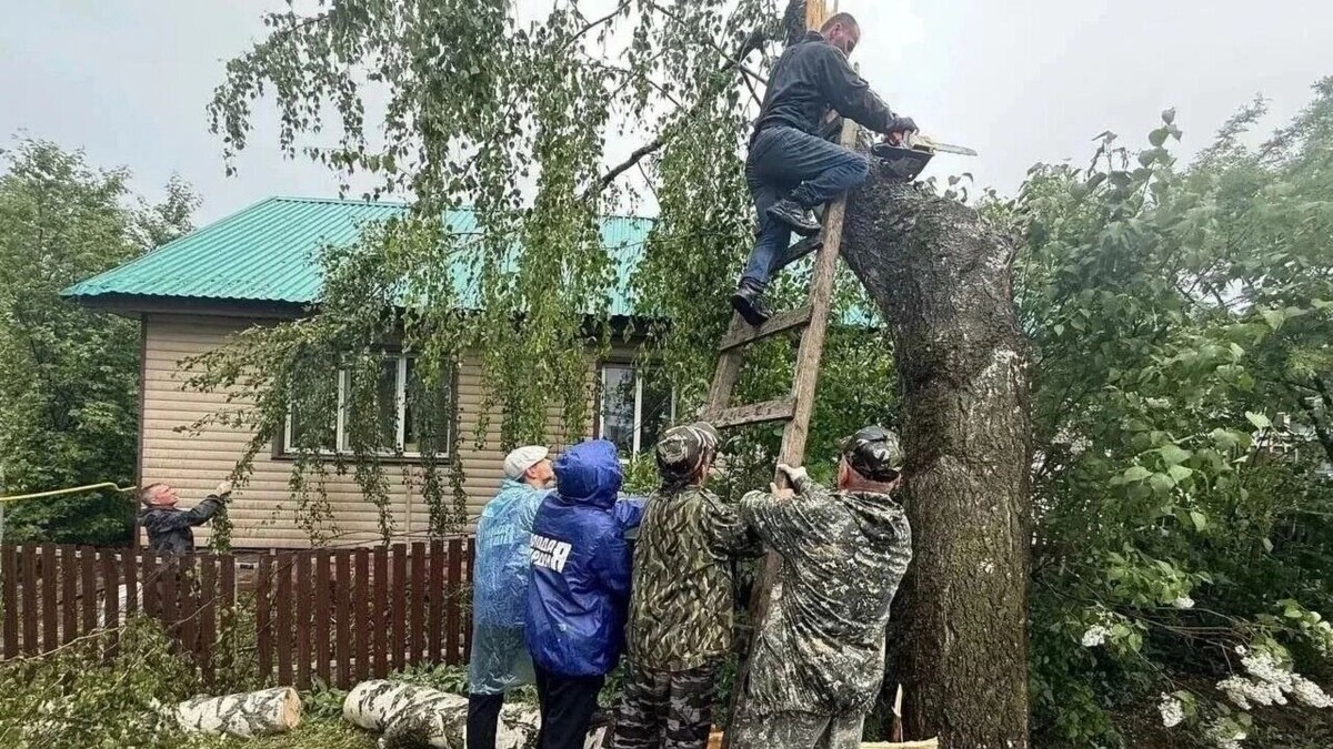   t.me/Роман Ефимов