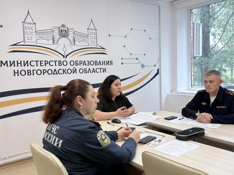     В формате видеосвязи прошло собрание, посвященное безопасности детей на дорогах. фото с сайта правительства Новгородской области