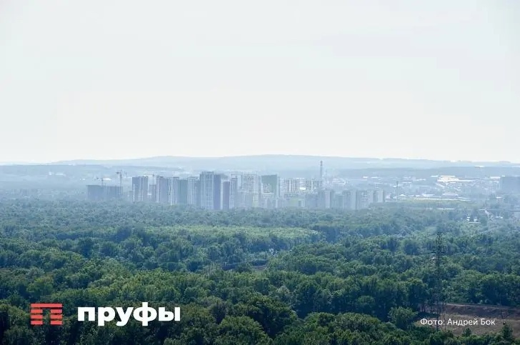    Фото: Пруфы