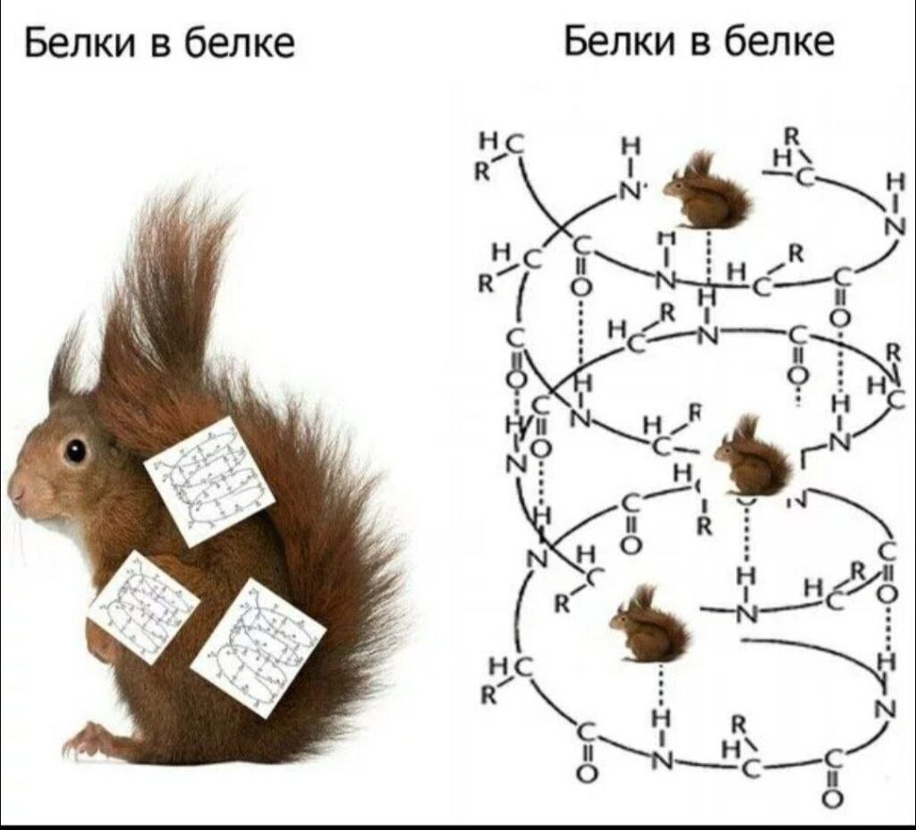 Рисунок 1 [1].