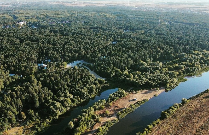 Леса в окрестностях Солотчи, где и писал "Повесть" Паустовский.