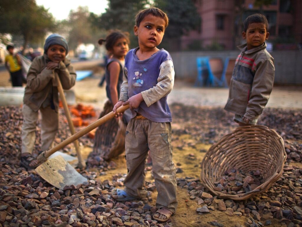 Фото из сети интернет