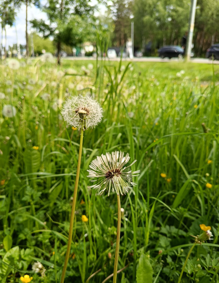 Фото автора.