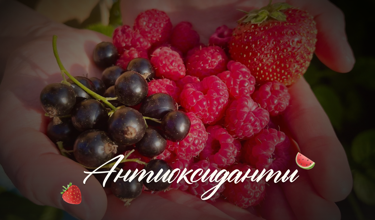 Обложка  для статьи антиоксиданты 
