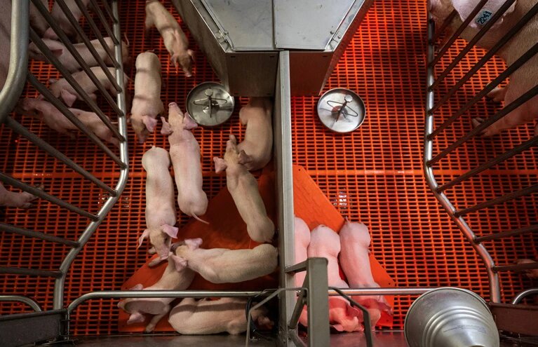 Фото Andrew Caballero-Reynolds/AFP via Getty.
