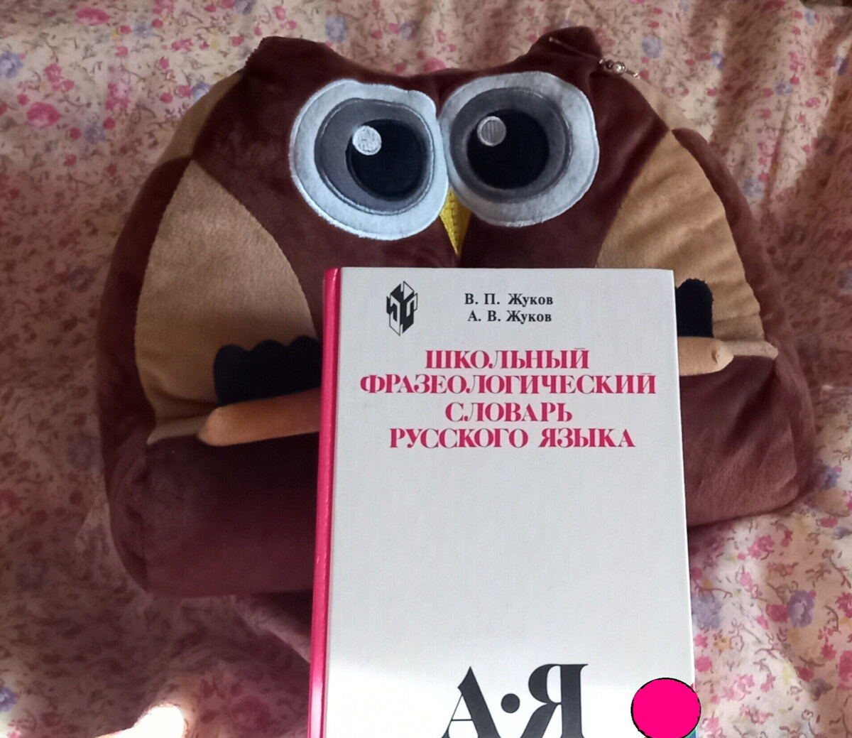 Жуков В. П. Школьный фразиологический словарь русского языка /В. П. Жуков, А. В. Жуков. - 4-е изд., дораб. и доп. - М. : Просвещение, 2003. - 543 с.