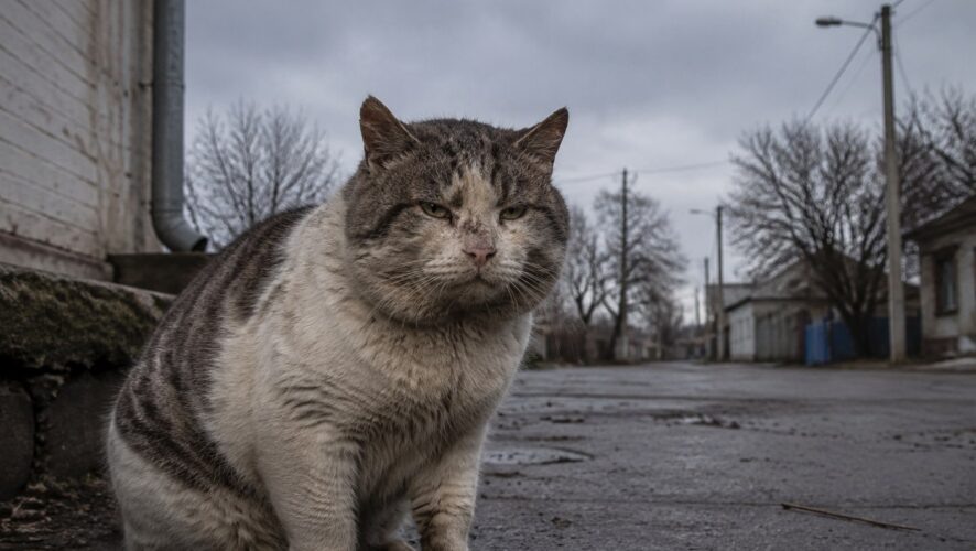    Фото: создано ИИ