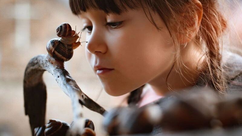    Фото: Juliya Shangarey / Shutterstock / Fotodom