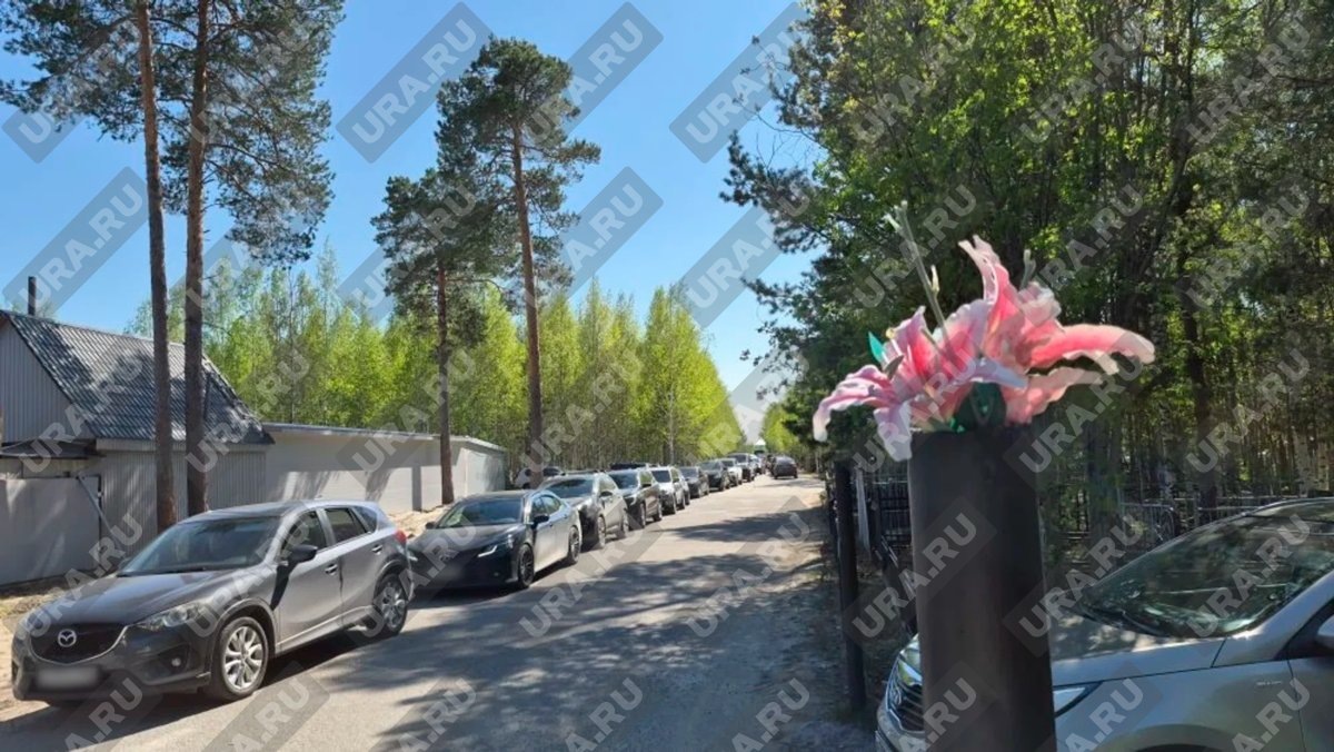    Очевидцы рассказывают об огромной пробке на кладбище в Сургуте