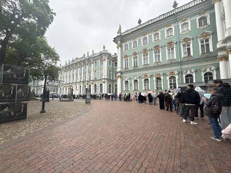     Сегодня празднуют День Эрмитажного кота. Фото: МК в Питере / Алиса Кузьмина
