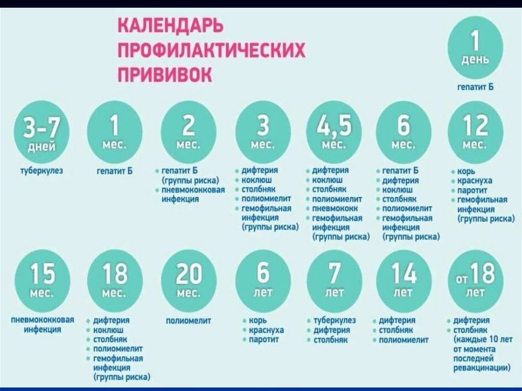 и вот он, национальный календарь прививок