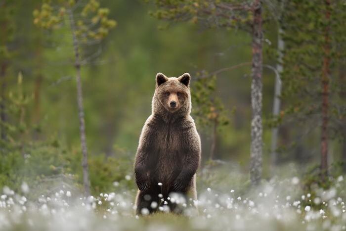 Обложка © Shutterstock / FOTODOM / Erik Mandre