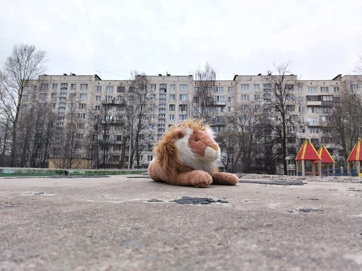     Полицейские всю ночь искали девочку. Фото: архив МК в Калининграде.