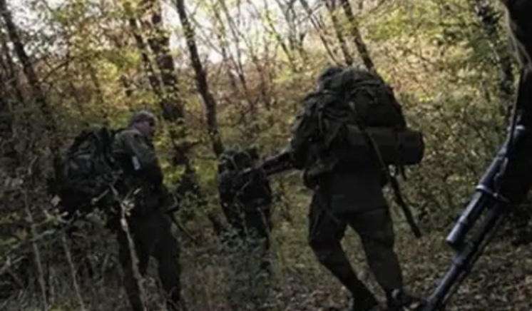 Из открытых источников 