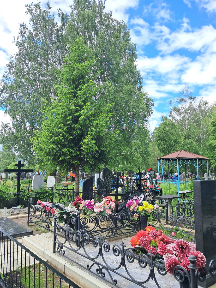 на городском кладбище