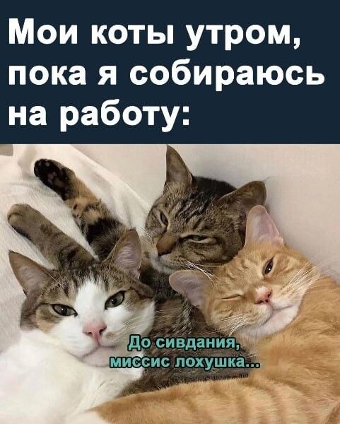 Из открытых источников
