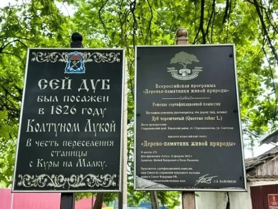    Фото: минприроды СК