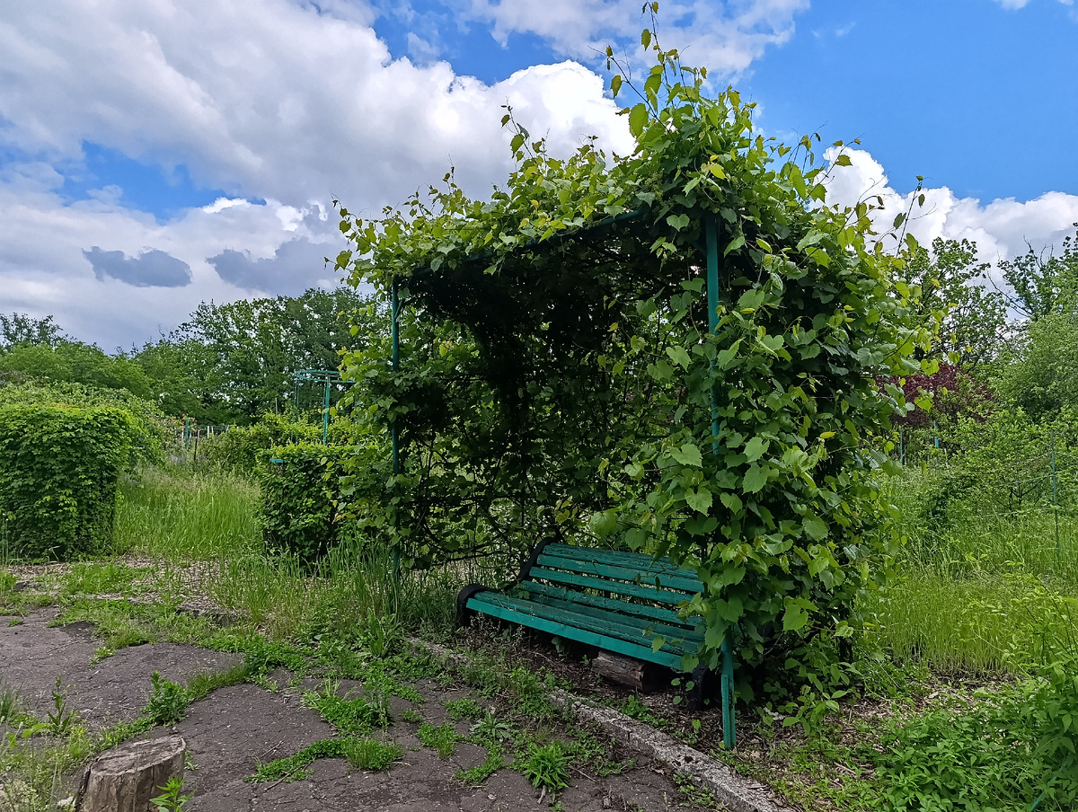 Ботанический Сад.