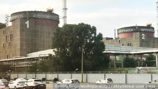    Источник: vz.ru/  Мария Петрова