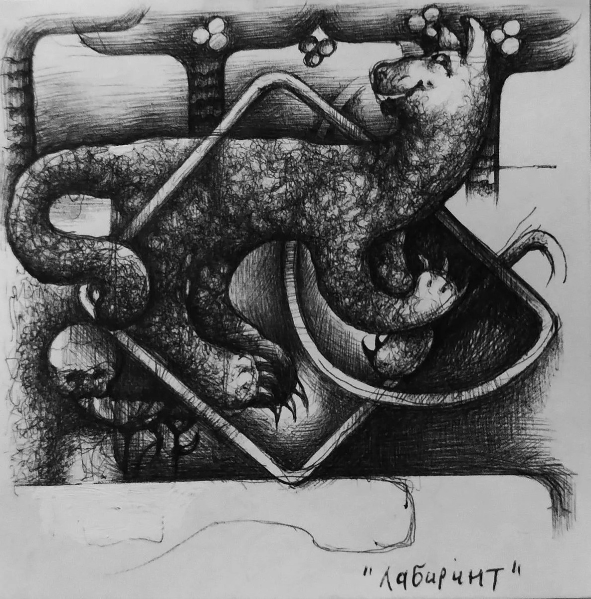 Кот