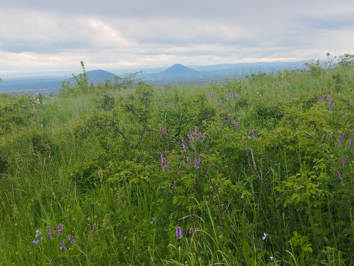 Вид на Джуцу и Юцу с пятигорского подъема на Бештау